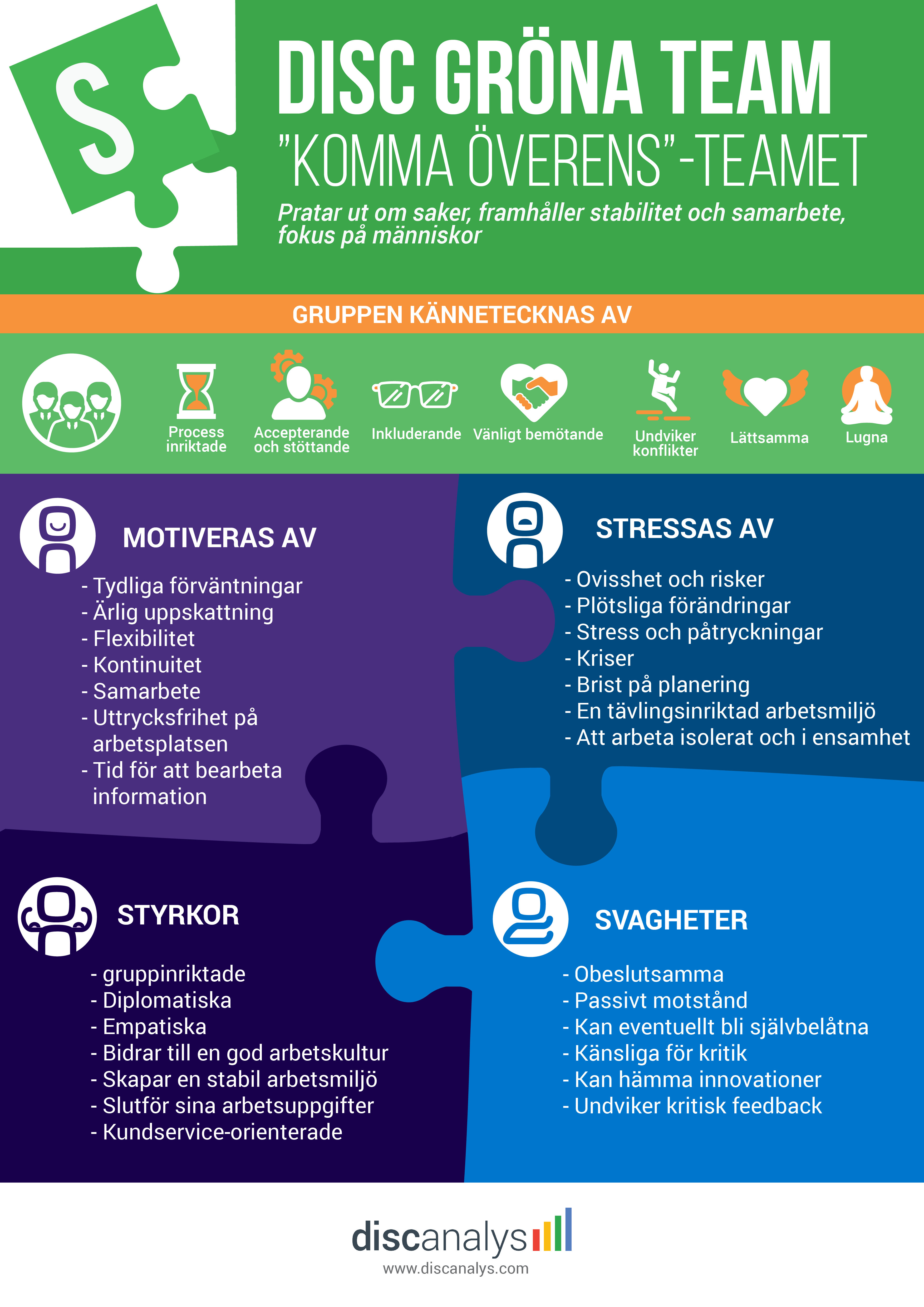 DISC Modellen Gröna Team