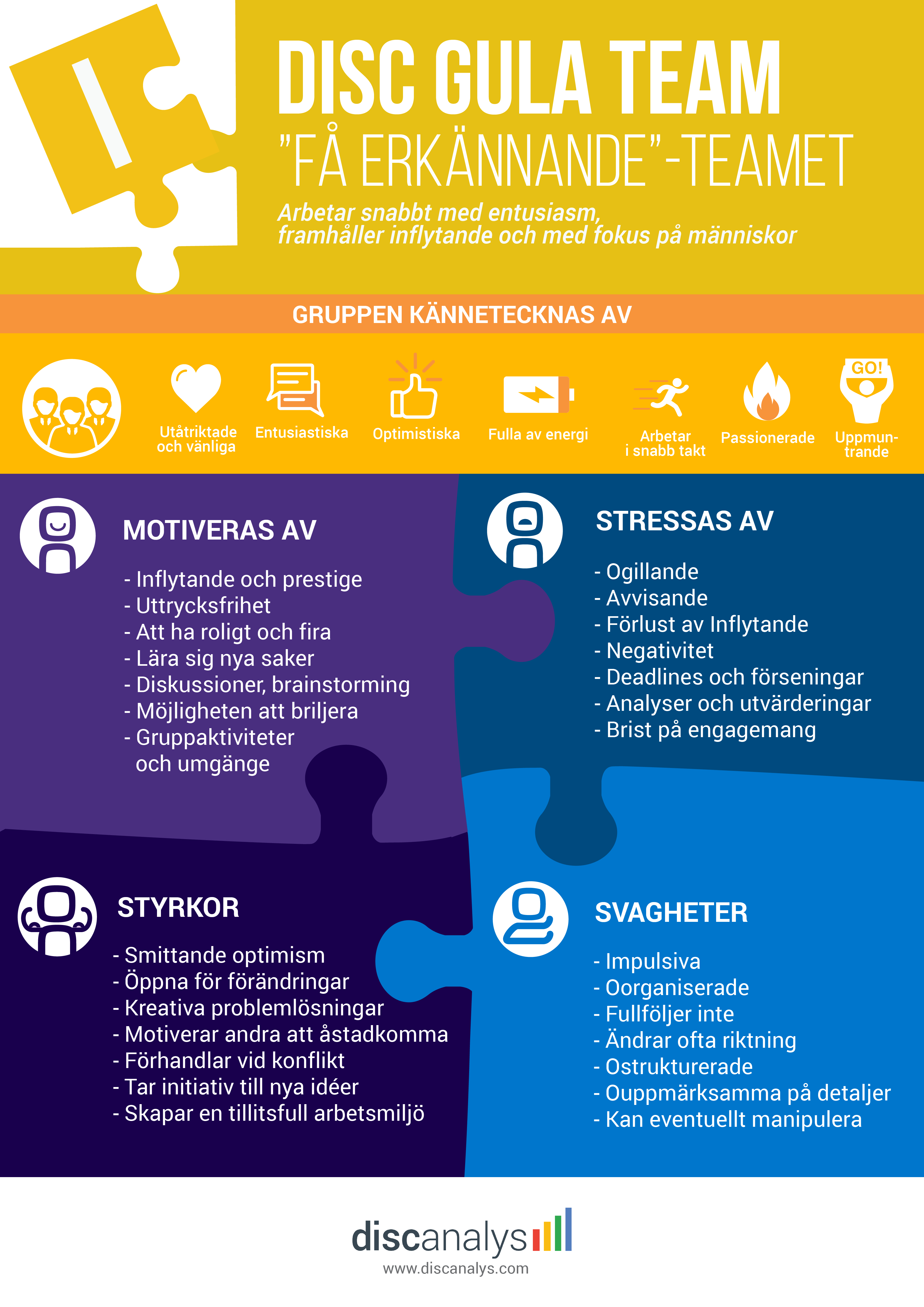 DISC Modellen Gula Team