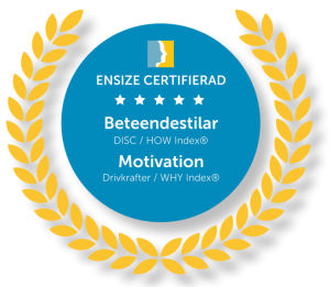 DISC certifiering ex